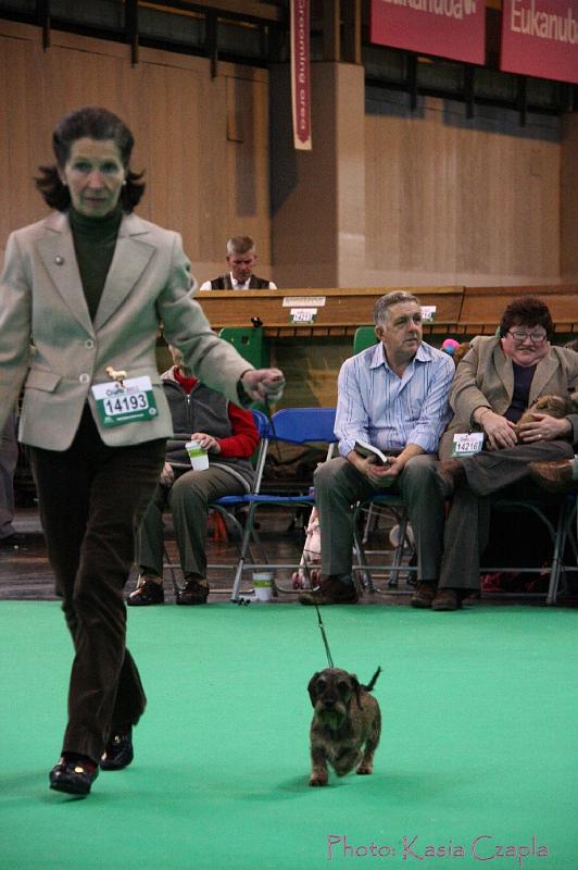 Crufts2011_2 1349.jpg